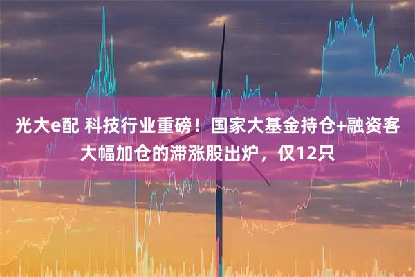 光大e配 科技行业重磅！国家大基金持仓+融资客大幅加仓的滞涨股出炉，仅12只
