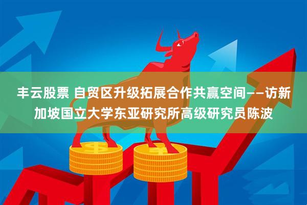 丰云股票 自贸区升级拓展合作共赢空间——访新加坡国立大学东亚研究所高级研究员陈波