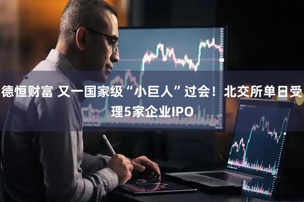德恒财富 又一国家级“小巨人”过会！北交所单日受理5家企业IPO